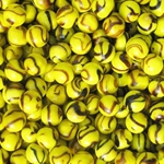 Bee 5/8