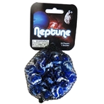 Neptune Net