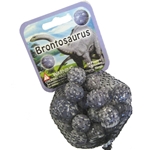 New for 2009! Brontosaurus Net