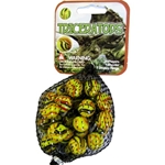 New for 2009! Triceratops Net
