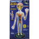Transparent Roswell Alien Anatomy Model Kit