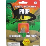 Fossilized Dino Poop
