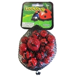 New! Ladybug Net