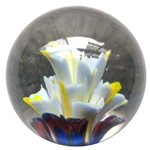 Jellyfish Marble