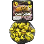 New! Caterpillar Net