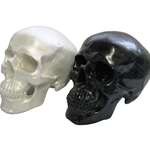 Silver Skull Bank