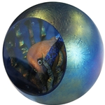 Fish Bowl
