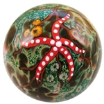Starfish