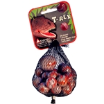 T-Rex Net