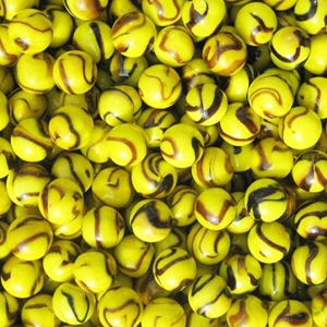 Bee 5/8