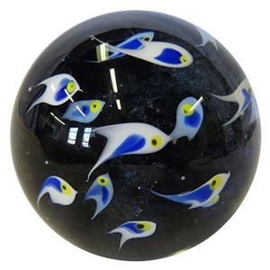 School of Blue Fish