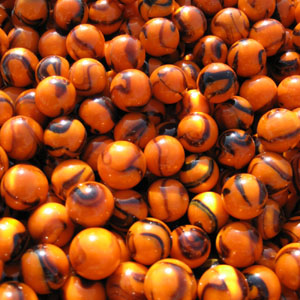 Bengal Tigers 5/8