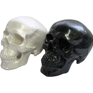 Silver Skull Bank