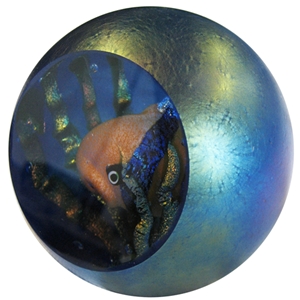 Fish Bowl