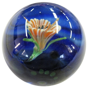 Flower in Deep Blue