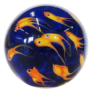 School of Fish