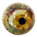 *Bruce Breslow - "Glow Lizard Eye"