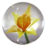 Fred Linders - "Daffodil Marble"