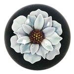 Florin Voicu - "White Flower Marble"