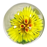 Fred Linders - "Yellow Flower"