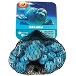 Beluga Net
