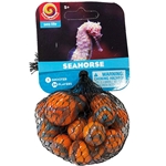 Sea Horse Net