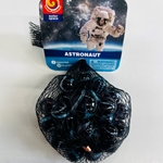 Astronaut Net